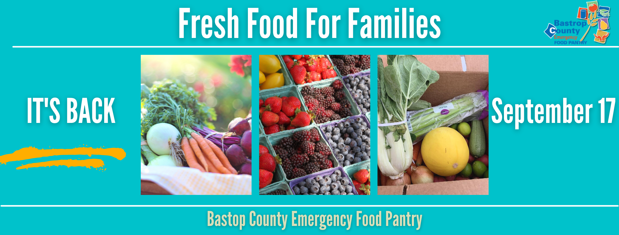 Bastrop Food Pantry: A Lifeline for the Community